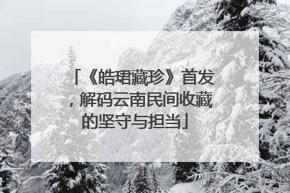 《皓珺藏珍》首发，解码云南民间收藏的坚守与担当