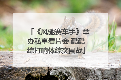 《风驰赛车手》举办私享看片会 酷酷综打响体综突围战