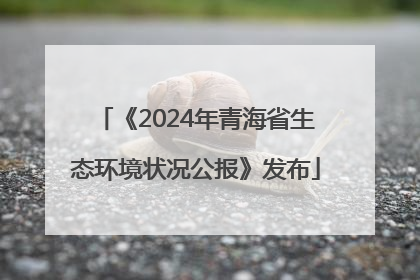 《2024年青海省生态环境状况公报》发布