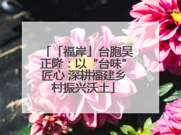 「福岸」台胞吴正隆:以“台味”匠心 深耕福建乡村振兴沃土