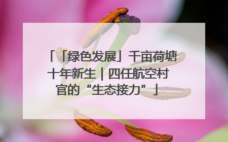 「绿色发展」千亩荷塘 十年新生｜四任航空村官的“生态接力”