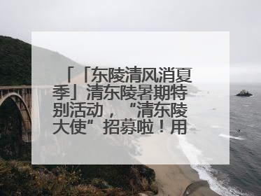 「东陵清风消夏季」清东陵暑期特别活动，“清东陵大使”招募啦！用你的热爱守护世界遗产！