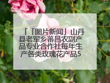 「图片新闻」山丹县老军乡蕃昌农副产品专业合作社每年生产各类玫瑰花产品500多吨