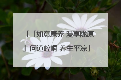 「如意康养 漫享陇原」问道崆峒 养生平凉