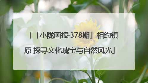 「小陇画报·378期」相约镇原 探寻文化瑰宝与自然风光