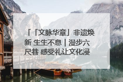 「文脉华章」非遗焕新 生生不息｜漫步六尺巷 感受礼让文化浸润的“巷”往生活