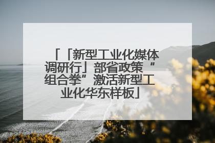 「新型工业化媒体调研行」部省政策“组合拳”激活新型工业化华东样板
