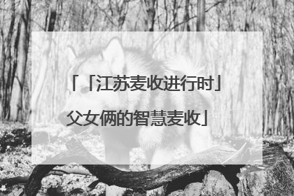 「江苏麦收进行时」父女俩的智慧麦收