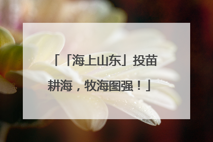 「海上山东」投苗耕海，牧海图强！