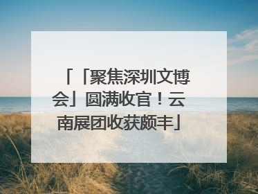 「聚焦深圳文博会」圆满收官！云南展团收获颇丰