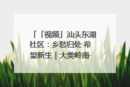 「视频」汕头东湖社区：乡愁归处 希望新生｜大美岭南·百村焕新记