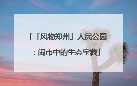 「风物郑州」人民公园：闹市中的生态宝藏