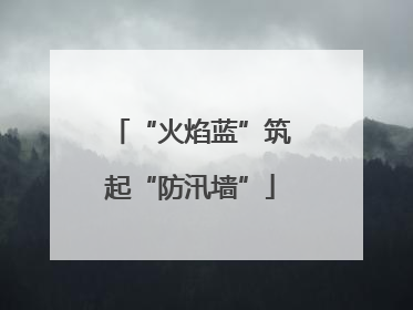“火焰蓝”筑起“防汛墙”