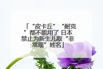 “皮卡丘”“耐克”都不能用了 日本禁止为新生儿取“非常规”姓名