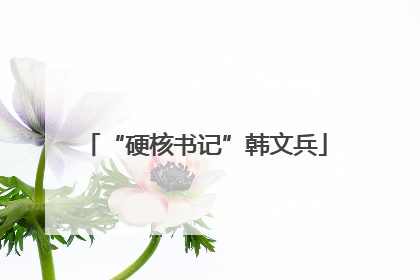 “硬核书记”韩文兵