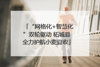 “网格化+智慧化”双轮驱动 柘城县全力护航小麦夏收