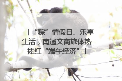 “粽”情假日、乐享生活，南通文商旅体热捧红“端午经济”