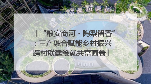 “粮安商河・陶梨留香”：三产融合赋能乡村振兴 跨村联建绘就共富画卷