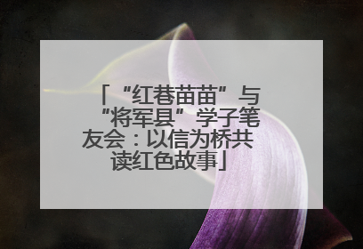 “红巷苗苗”与“将军县”学子笔友会：以信为桥共读红色故事