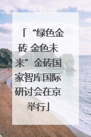 “绿色金砖 金色未来”金砖国家智库国际研讨会在京举行