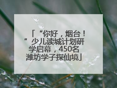 “你好，烟台！”少儿读城计划研学启幕，450名潍坊学子探仙境