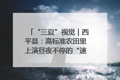 “三夏”视觉｜西平县：高标准农田里上演昼夜不停的“速度与激情”