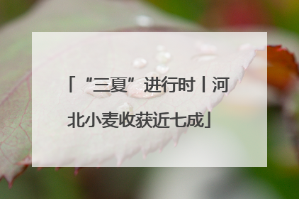 “三夏”进行时丨河北小麦收获近七成