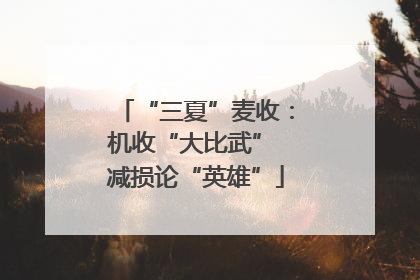 “三夏”麦收：机收“大比武” 减损论“英雄”