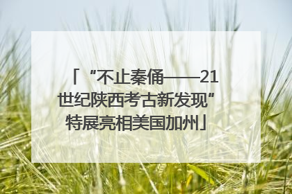 “不止秦俑——21世纪陕西考古新发现”特展亮相美国加州
