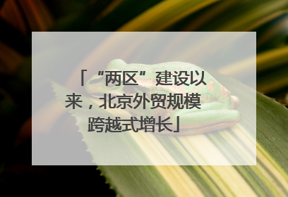 “两区”建设以来，北京外贸规模跨越式增长