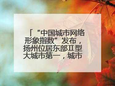 “中国城市网络形象指数”发布，扬州位居东部Ⅱ型大城市第一，城市生活形象亮眼