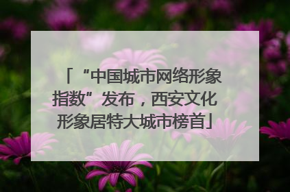 “中国城市网络形象指数”发布，西安文化形象居特大城市榜首