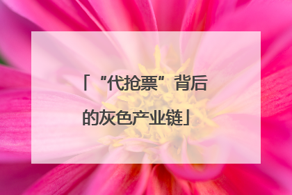 “代抢票”背后的灰色产业链