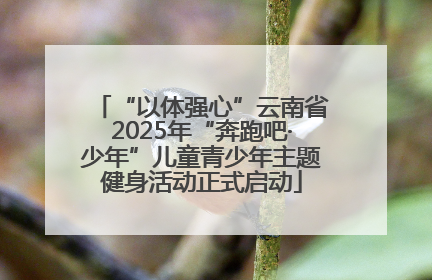 “以体强心”云南省2025年“奔跑吧·少年”儿童青少年主题健身活动正式启动