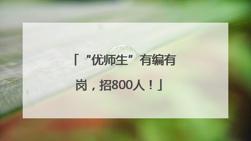 “优师生”有编有岗，招800人！