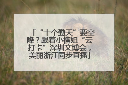 “十个勤天”要空降？跟着小楠姐“云打卡”深圳文博会，美丽浙江同步直播