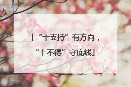 “十支持”有方向，“十不得”守底线
