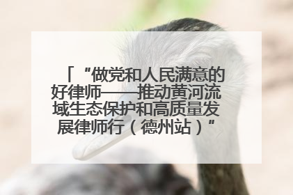 “做党和人民满意的好律师——推动黄河流域生态保护和高质量发展律师行（德州站）”活动成功举办