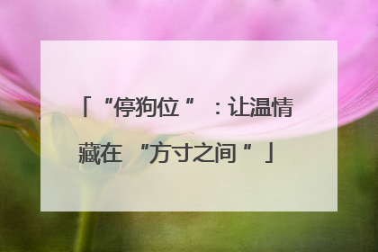“停狗位 ”：让温情藏在 “方寸之间 ”