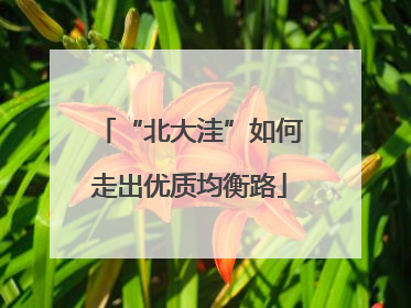 “北大洼”如何走出优质均衡路
