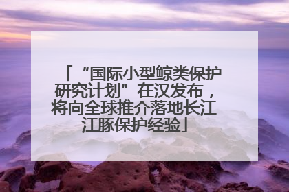 “国际小型鲸类保护研究计划”在汉发布，将向全球推介落地长江江豚保护经验