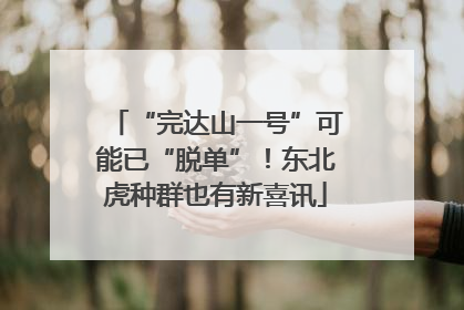 “完达山一号”可能已“脱单”！东北虎种群也有新喜讯