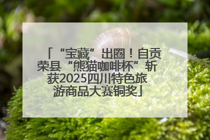 “宝藏”出圈！自贡荣县“熊猫咖啡杯”斩获2025四川特色旅游商品大赛铜奖