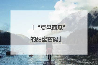 “夏邑西瓜”的甜蜜密码