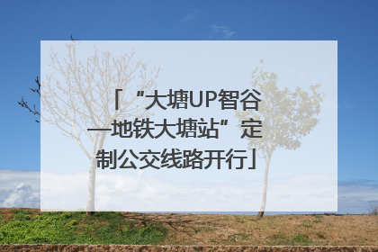 “大塘UP智谷—地铁大塘站”定制公交线路开行