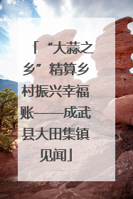 “大蒜之乡”精算乡村振兴幸福账——成武县大田集镇见闻