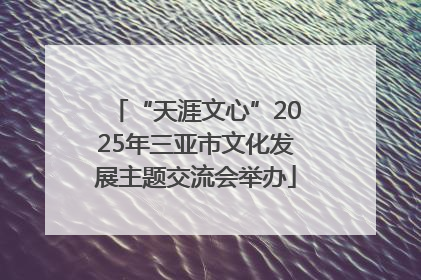 “天涯文心”2025年三亚市文化发展主题交流会举办