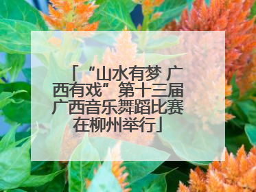 “山水有梦 广西有戏”第十三届广西音乐舞蹈比赛在柳州举行