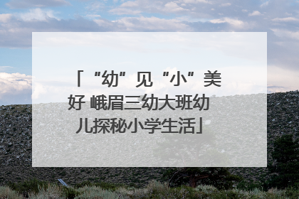 “幼”见“小”美好 峨眉三幼大班幼儿探秘小学生活