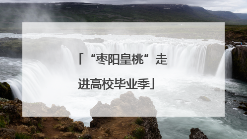 “枣阳皇桃”走进高校毕业季